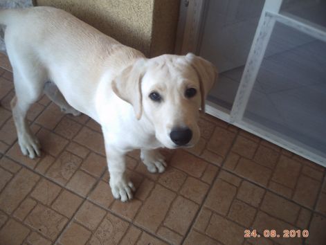 viki_20100829_002.jpg