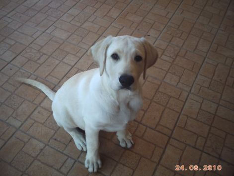 viki_20100829_005.jpg