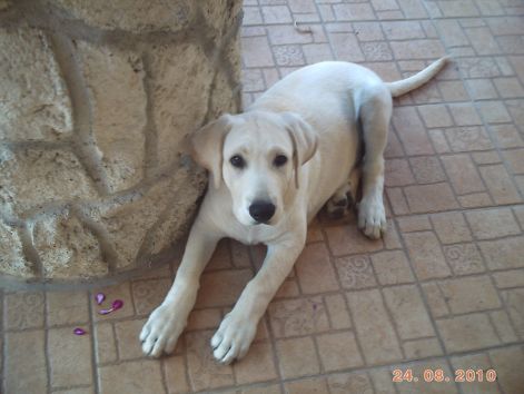 viki_20100829_009.jpg